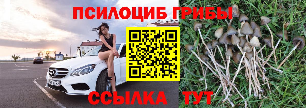 Галлюциногенные грибы мухоморы  Вход с VPN  где купить наркоту  Псилоцибиновые грибы Cubensis  Саратов 